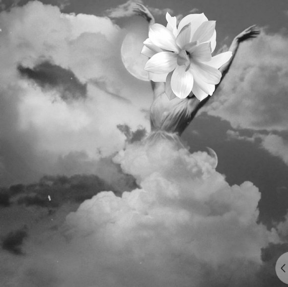 Meet your Posher, Cortney - Picture 1 of 1